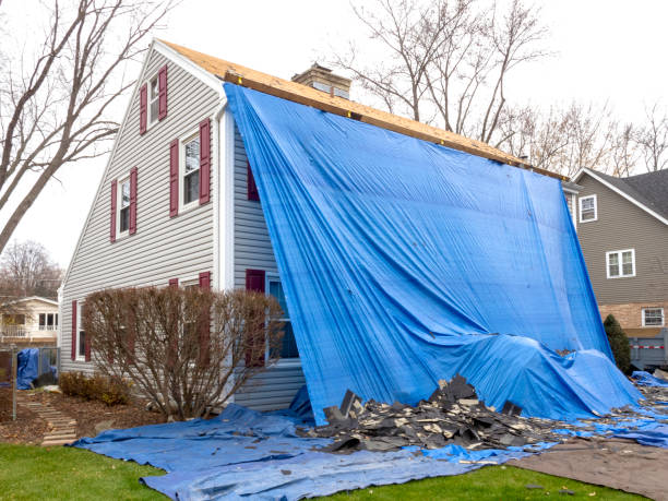 Best Fascia and Soffit Installation  in Clearfield, UT
